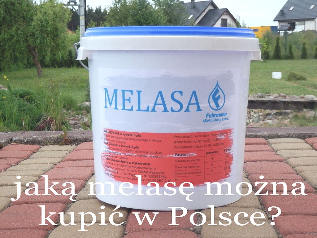 www.melasa.com.pl